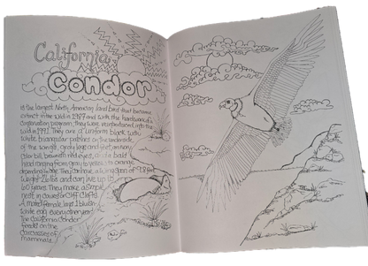 California condor illustration with information pages hand drawn issue pages of the west coast Wildlife coloring book birds condor in flight with coast view and egg