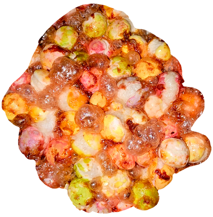 Chamoy candy organic freeze dried chamoy rainbow drops all natural gourmet candy