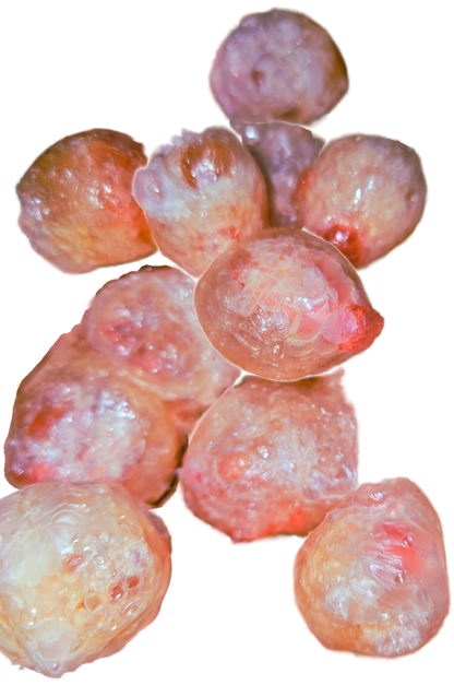 All Natural PEACH CLOUDS