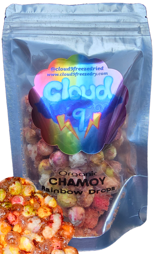 Handcrafted freeze dried chamoy candy rainbow drops spicy sweet salty candy organic all natural 