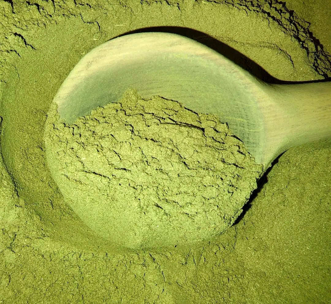 Tekit superfoods Jah Mystic moringa drink mix moringa gingko lions mane mushroom organic raw powder beverage 