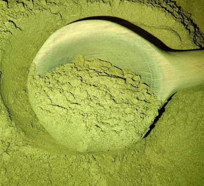 Tekit superfoods Jah Mystic moringa drink mix moringa gingko lions mane mushroom organic raw powder beverage 