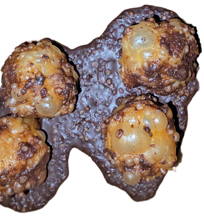 Organic CHOCOLATE MUD PUDDLES