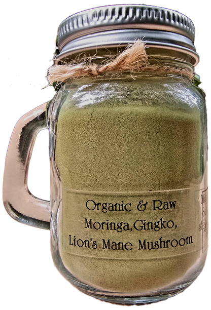 Organic raw tekit superfoods moringa green drink mix backside ingredients moringa gingko lions mane mushroom beverage powder